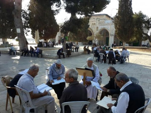 &rsquo;المرابطـون&rsquo;.. خط الدفاع الأول عن المسجد الأقصى المبارك