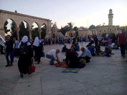 &rsquo;المرابطـون&rsquo;.. خط الدفاع الأول عن المسجد الأقصى المبارك