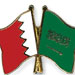 القوّات السعوديّة متورّطة في قمع احتجاجات البحرين 
