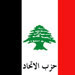 "الاتحاد" و"المرابطون" و"القومي": لحكومة تعبر عن اتجاهات الاكثرية الجديدة دون عقد او استبعاد
