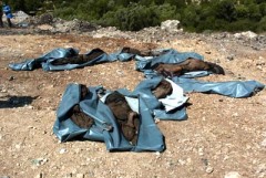 سبعون دبلوماسيا يعاينون إكتشاف مقبرة جماعية جديدة في جسر الشغور 
