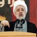 الشيخ نعيم قاسم: نحن ضد العنف الأسري لكن لا نوافق على تفكيك الأسرة بالشكاوى أمام المحاكم
