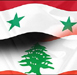 مؤتمر في الاونيسكو حول قانون انتخابي يؤمن صحة التمثيل والكلمات نددت بقرار تعليق عضوية سوريا في الجامعة العربية