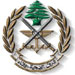 مخابرات الجيش توقف جاسوسين للعدو في وزارة الاتصالات و"أوجيرو"

