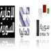 "المجلس الوطني للاعلام": وقف بث الفضائية السورية قرار سياسي وسابقة خطيرة تهدد الإعلام العربي بأسره