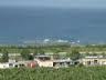 إختطاف اللبناني حسن ابراهيم سبليني في سوريا والخاطفون  يطلبون فدية مالية وسلاحا !