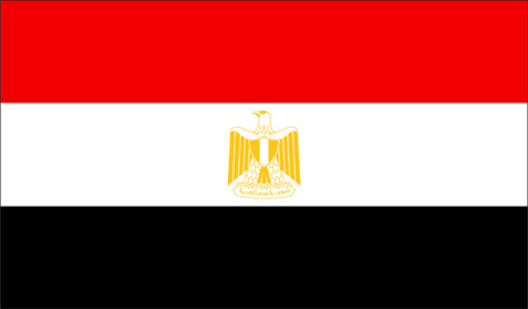 السفير المصري: حزب الله قوة مؤثرة في الواقع السياسي اللبناني
