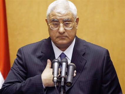 منصور: الشعب المصري هو صاحب الإرادة الشرعية