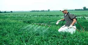 تقرير للأمم المتحدة يدعو إلى دعم الزراعة الفلاحية والبيئية: آن الأوان للتحرك!