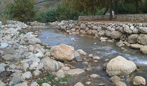 تحول ضفاف نهر البارد من منتزه الى مكبات للنفايات