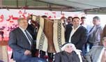 الحاج حسن: لبنان ينجو من تخبط سياسات البعض العشوائية على كل الأصعدة