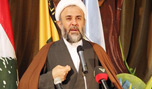 الشيخ نبيل قاووق: &rsquo;الجيش الحرّ&rsquo; أصبح اسماً بلا مسمى
