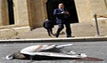 الحمامة ضحية .. &laquo;الكتائب&raquo;