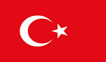 
الحارس والجسر