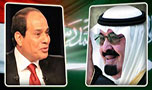 مباحثات ثنائية بين الملك السعودي والسيسي 