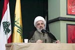 الشيخ قاسم يستقبل وفداً من الاطباء المتطوعين الاتراك 