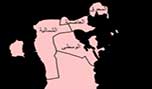 الأمين العام لجمعية المنبر الديمقراطي التقدمي في البحرين: تعديل الدوائر الانتخابية يعقّد المشهد السياسي