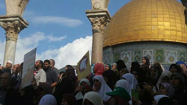 لليوم الثالث على التوالي... شرطة الاحتلال والمستوطنون يواصلون تدنيس الاقصى
