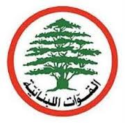 &laquo;القوات&raquo; لحلفائها: سنقلّع شوكنا بأيدينا