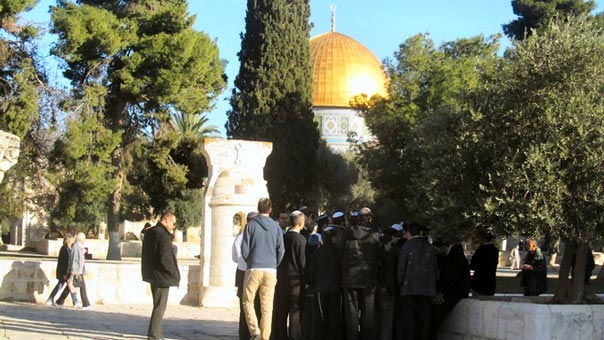 الأقصى تحت التهديد مجدداً .. مستوطنون يقتحمون ومنظمات صهيونية تطالب بتغيير وضعه القائم
