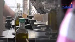 معهد التعاون الجامعي يفتتح مركز تجميع زيت الزيتون في الجنوب
