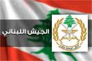 مخابرت الجيش ضبطت كمية من الأسلحة في عرسال وطرابلس