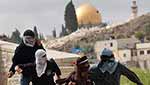 &rsquo;يديعوت&rsquo;: الحجر والزجاجة سلاحان فتاكان في المواجهات المقبلة في باحة الأقصى