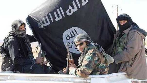 &rsquo;داعشي&rsquo; يفرّ بـ 25 ألف دولار.. ويغرّد: عن أي خلافة تتحدثون أيها البلهاء؟