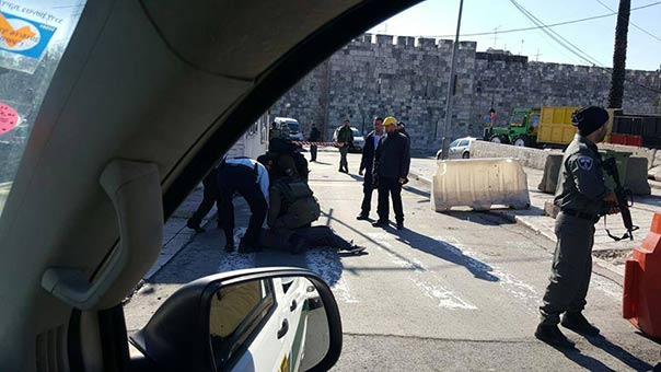 إعتقال فتاة وطفلة بزعم محاولتهما تنفيذ عمليتي طعن في القدس والخليل .. والمستوطنون يواصلون تدنسيهم للأقصى
