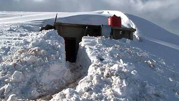  الجيش العربي السوري.. روح قتالية عالية تتجدد كل يوم