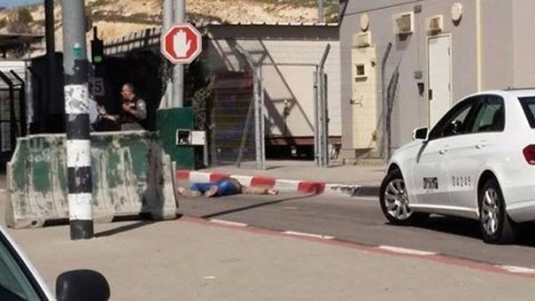 أطفال فلسطين يُقتلون على حواجز الاحتلال.. 3 شهداء في جنين والعبيدية