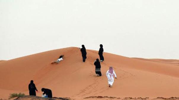 نقاط القوة والضعف في الاستراتيجية السعودية - عباس بوصفوان
