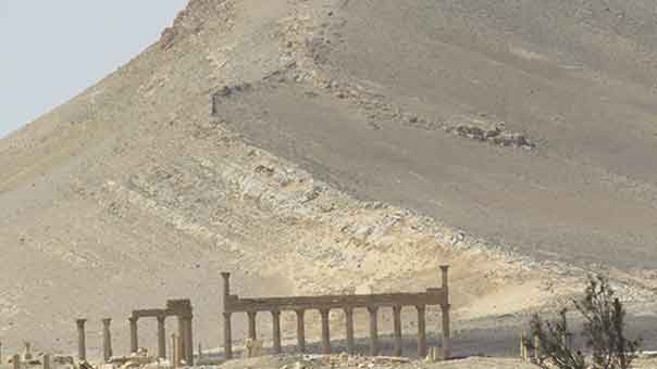 تدمر المُحرّرة من الإرهاب التكفيري.. بالصور 