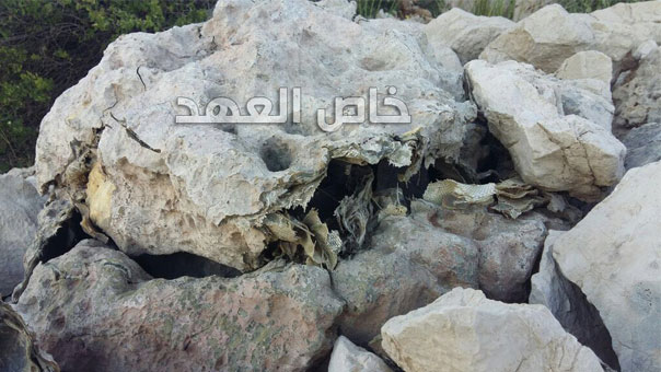 بالصوّر والفيديو: جهاز تجسس للعدو على شاكلة صخرتين بجبل عميق  