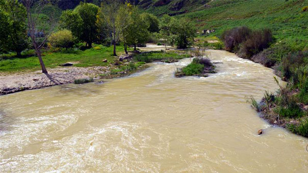 نسبة تلوث الليطاني 37% وتحذيرات من السباحة فيه!