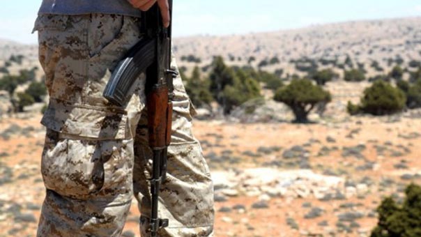 قائد العمليات الميدانية في سوريا تعليقًا على الهدنة: معركة حلب شكّلت ضربة قاسمة للمجموعات الإرهابية والرد سيكون قويًا على أي خروقات