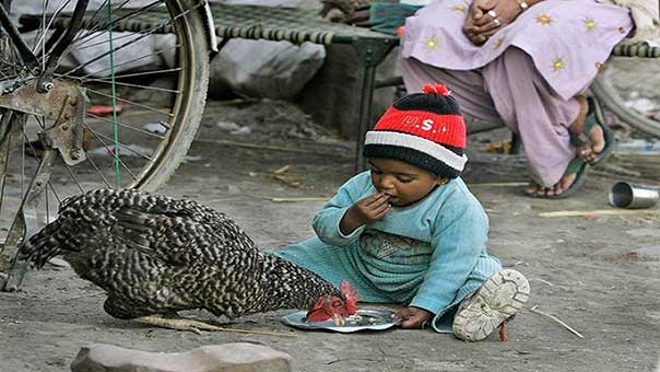 وفاة 17 ألف شخص في ولاية هندية بسبب الجوع