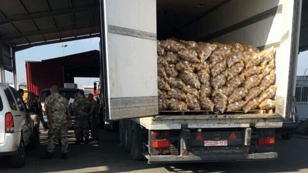 الجمارك اللبنانية تضبط كمية كبيرة من الحبوب المخدرة في مرفأ طرابلس متوجهة الى السعودية 