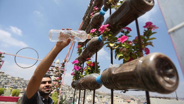 حديقة &rsquo;نخلة&rsquo; المنزلية .. جنةٌ وسط نار مخيم الجلزون برام الله !