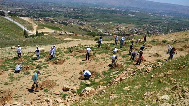 بعد ’شجرة لكل مواطن’ في الجنوب .. ’عيد الشجرة’ في بعلبك