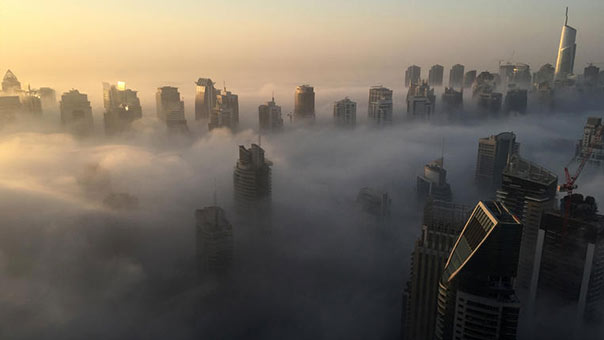 119 حادث سير في دبي بسبب الضباب