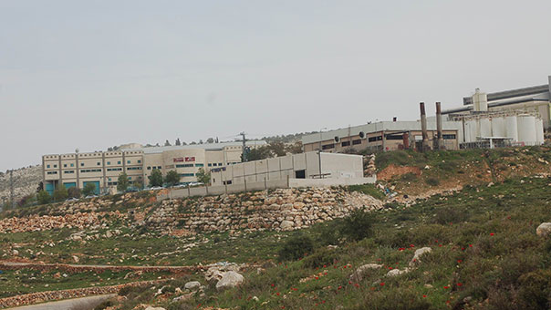 الاستيطان يهدد صحة فلسطينيي سلفيت 
