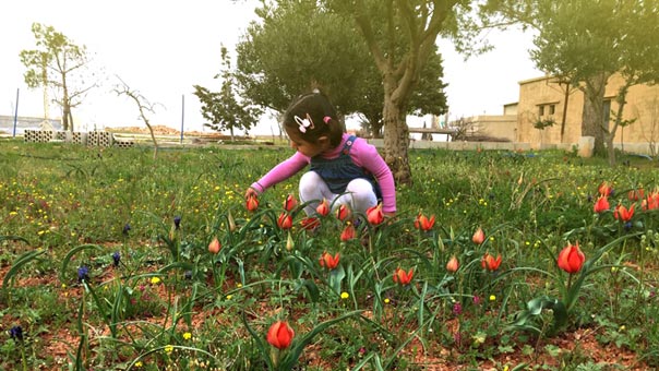 أول أيام الربيع في لبنان: الى الحياة در...