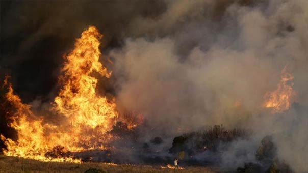 تونس: حملة اعتقالات على خلفية اندلاع حرائق متعمدة