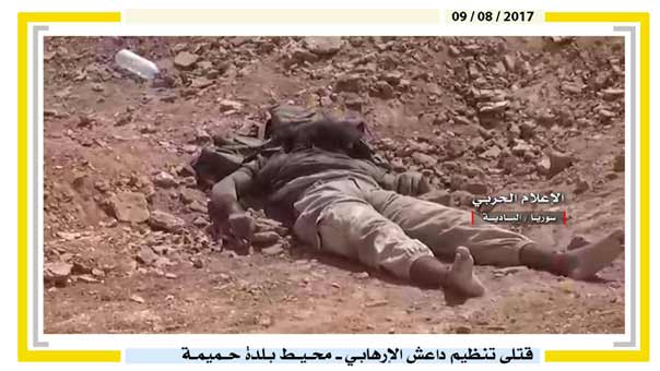 بالصور: قتلى &rsquo;داعش&rsquo; في الهجوم الفاشل على مواقع الجيش السوري بريف حمص