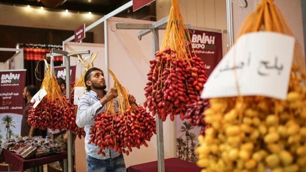 نخيل غزة..إنتاجٌ وفيرٌ يحبسه الحصار الصهيوني   