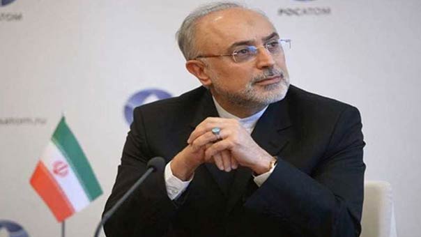 صالحي: بامكاننا استئناف التخصيب بنسبة 20% في غضون اربعة ايام