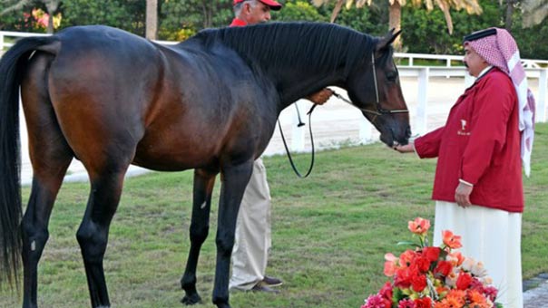 &rsquo;ميدل إيست آي&rsquo;: ملكة بريطانيا متّهمة بتجارة الخيول مع البحرين للتغطية على انتهاكات حقوق الإنسان