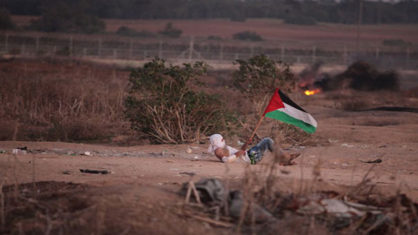 5 شهداء حصيلة يوم الغضب الفلسطيني .. وعمليات الطعن تتواصل