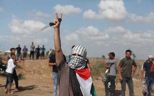 فدائيو انتفاضة القدس: شعب فلسطين يحكم بالسكين 